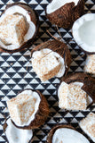 Toasted Coconut Gourmet Marshmallows 